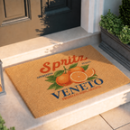 Spritz Veneto coir doormat on a stone step in front of a dark panelled door, with a lantern and a clipped boxwood in a planter